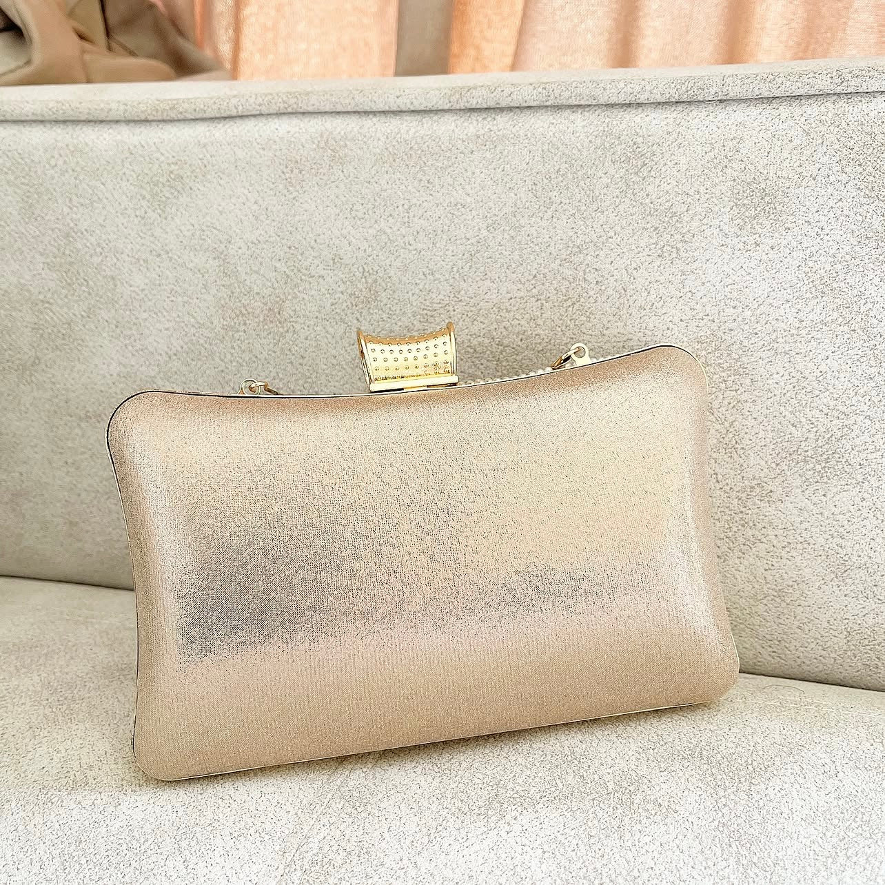 Champagne Khatun Clutch